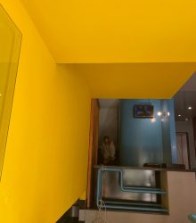 WhatsApp Image 2026-02-23 at 13.35.41 (3)